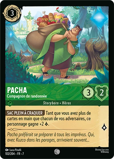 Pacha Compagnon De Randonnee