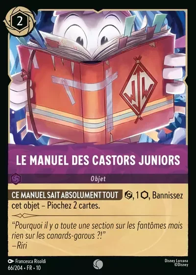Le Manuel Des Castors Juniors