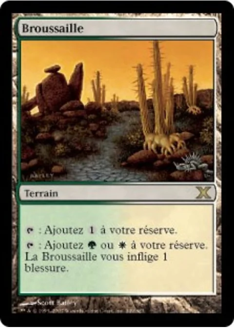 Broussaille
