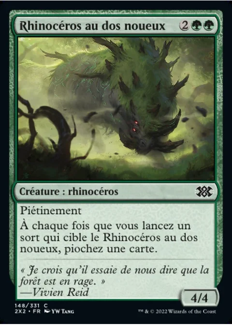 Rhinocéros au dos noueux