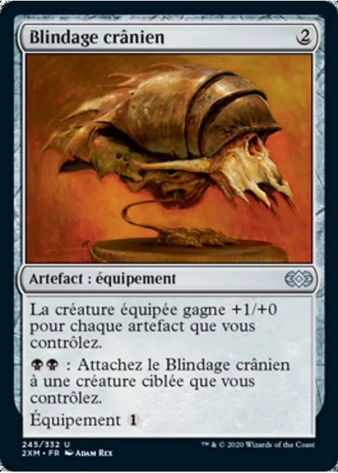 Blindage crânien