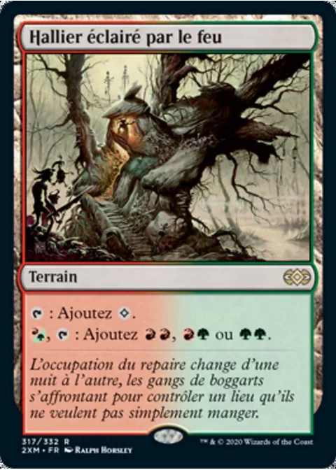 Hallier éclairé par le feu