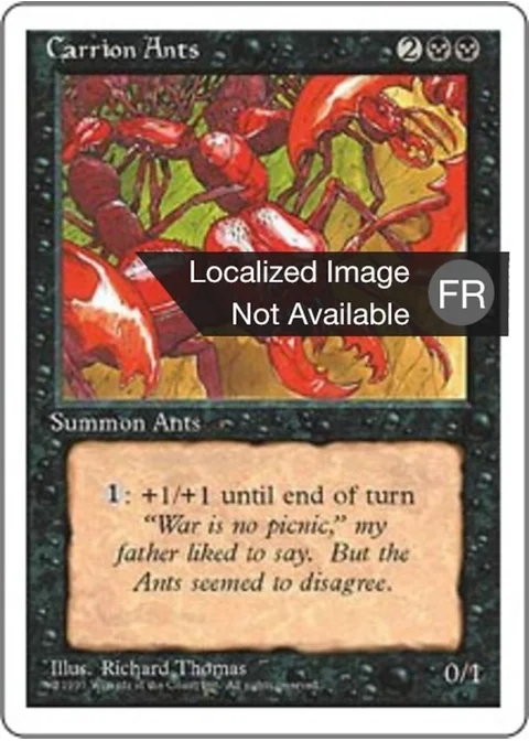 Fourmis charognardes