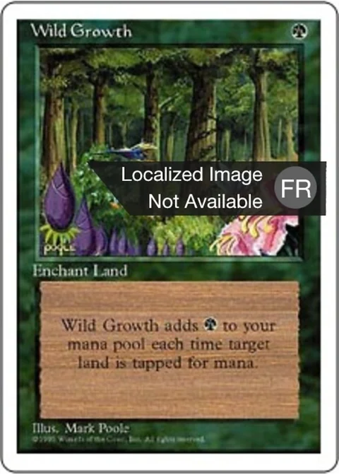 Végétation luxuriante