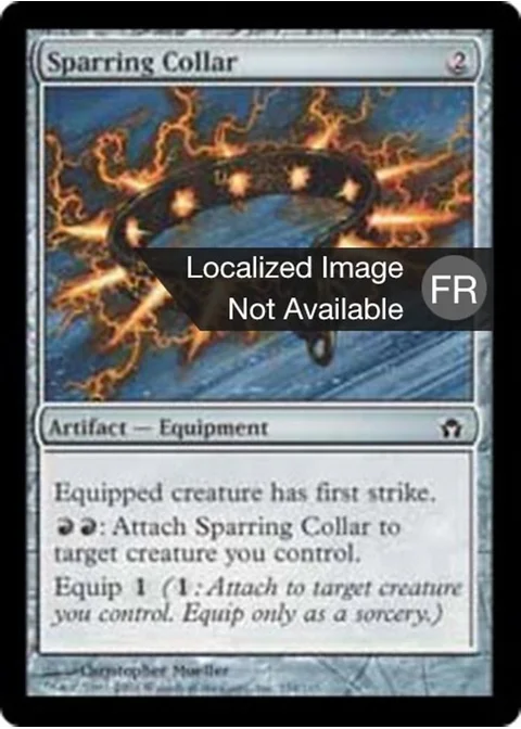 Collier d'entraînement