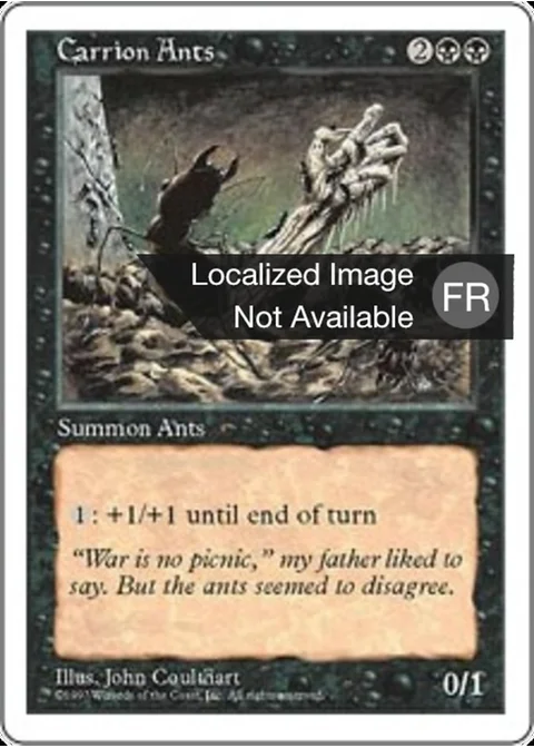 Fourmis charognardes