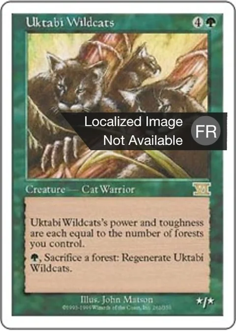 Chats sauvages de l'Ouktabi