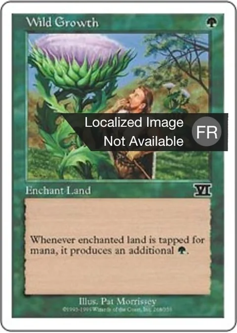 Végétation luxuriante