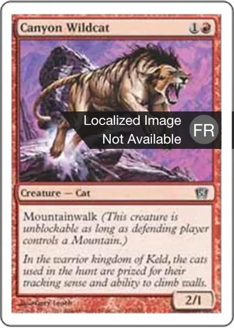 Chat sauvage des canyons