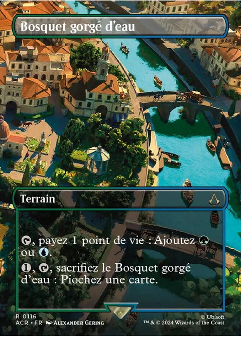 Bosquet gorgé d'eau