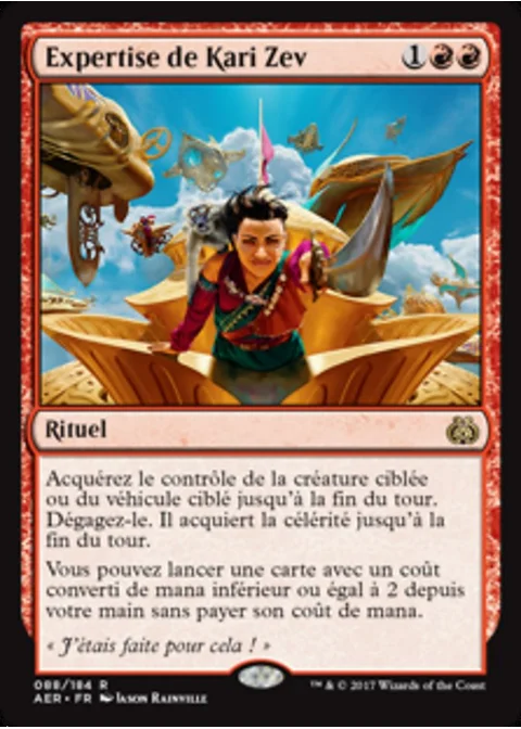 Expertise de Kari Zev