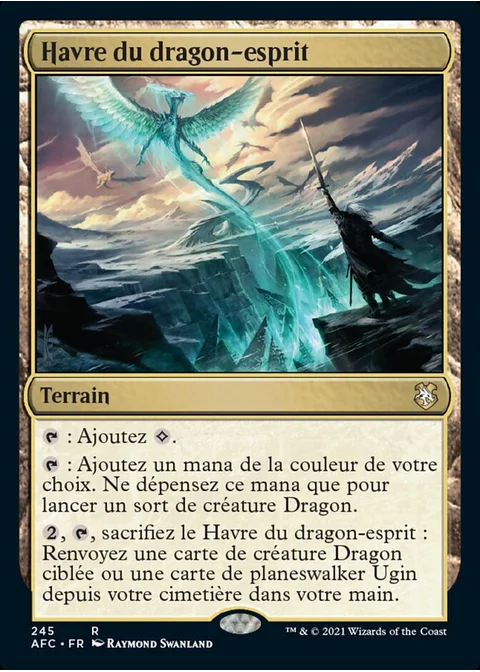 Havre du dragon-esprit