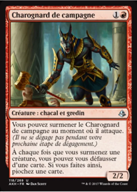 Charognard de campagne