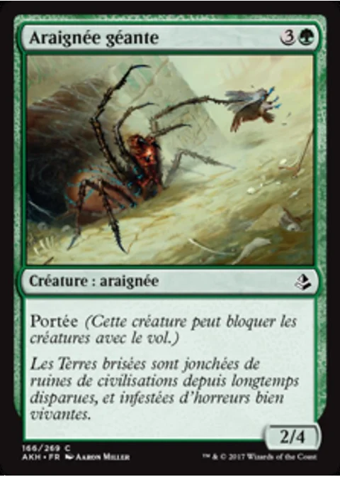 Araignée géante