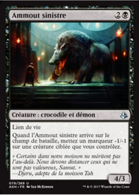 Ammout sinistre