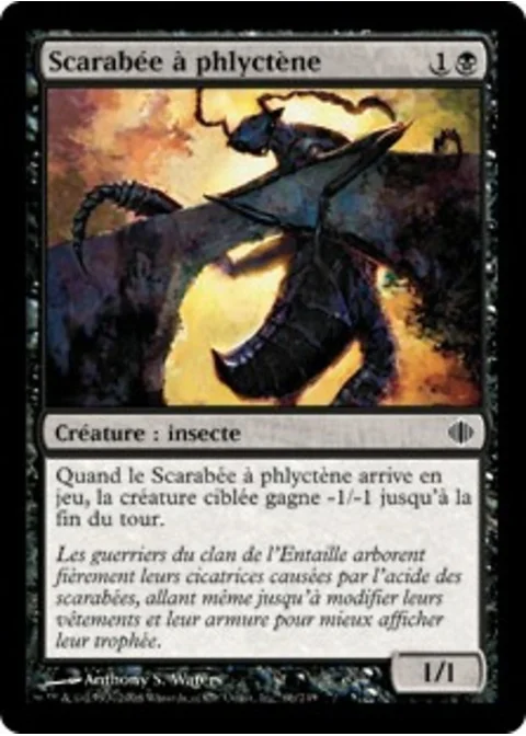 Scarabée à phlyctène
