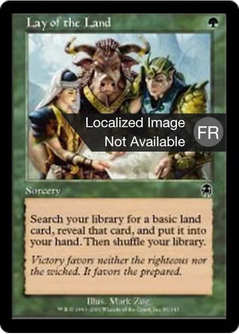 Disposition du terrain