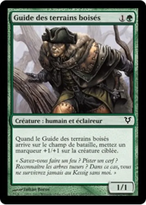 Guide des terrains boisés