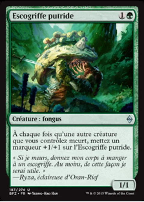 Escogriffe putride
