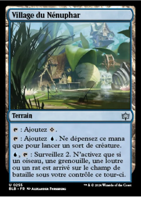 Village du Nénuphar