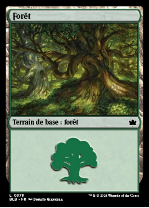 Forêt
