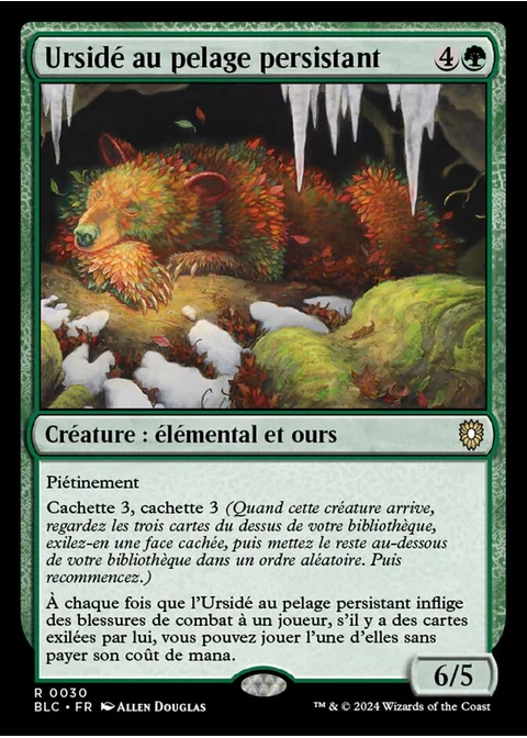 Ursidé au pelage persistant