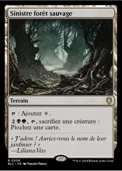 Sinistre forêt sauvage