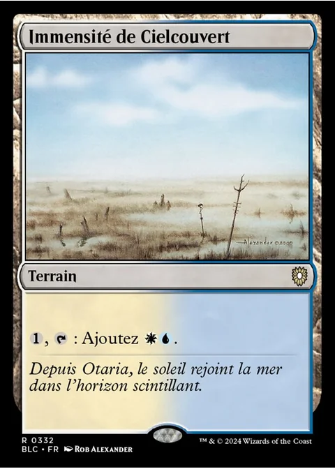 Immensité de Cielcouvert