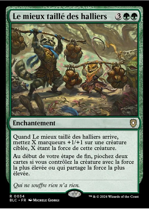 Le mieux taillé des halliers