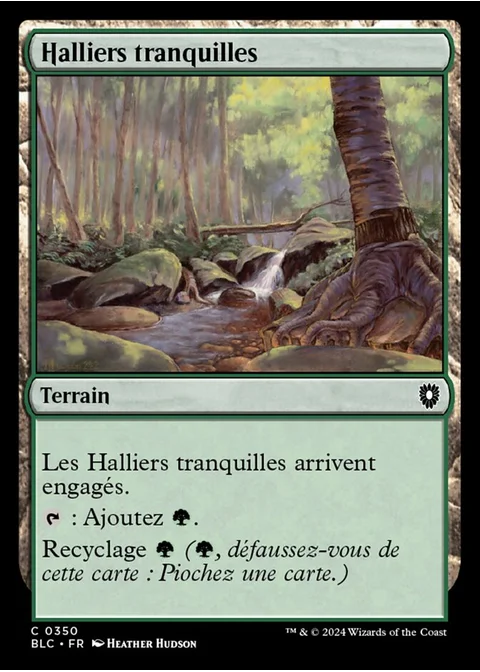 Halliers tranquilles