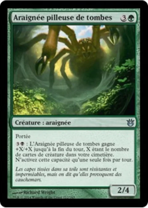 Araignée pilleuse de tombes