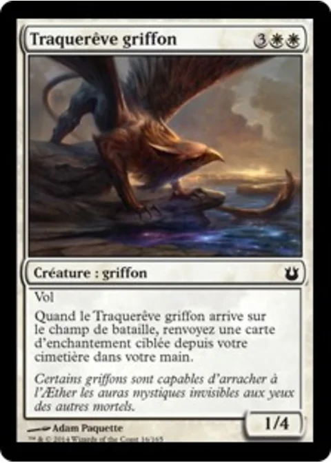 Traquerêve griffon
