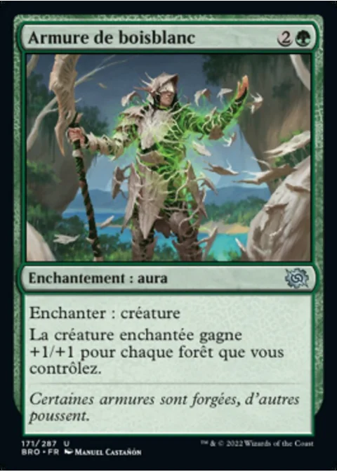 Armure de boisblanc
