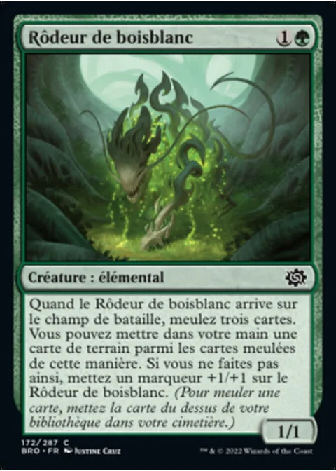 Rôdeur de boisblanc