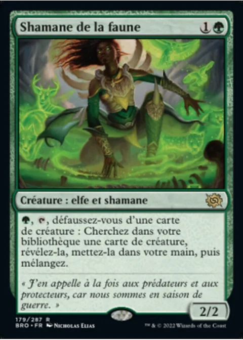 Shamane de la faune