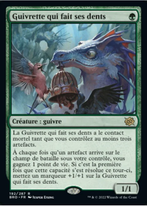 Guivrette qui fait ses dents