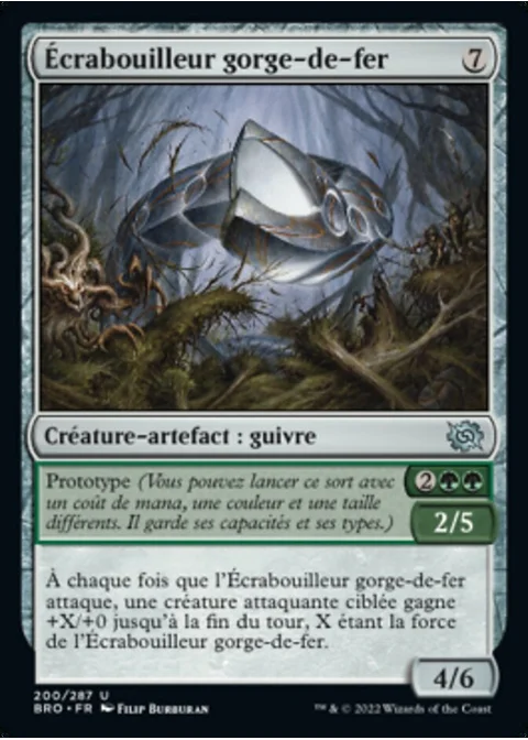Écrabouilleur gorge-de-fer
