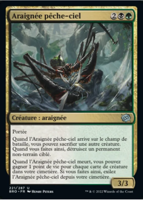 Araignée pêche-ciel