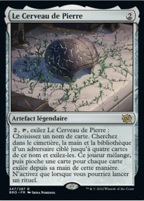 Le Cerveau de Pierre