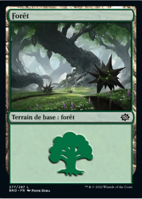 Forêt