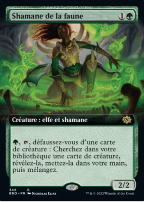 Shamane de la faune