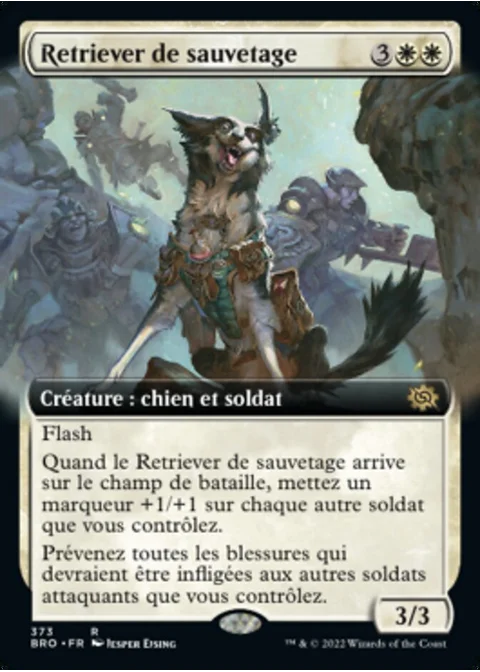 Retriever de sauvetage
