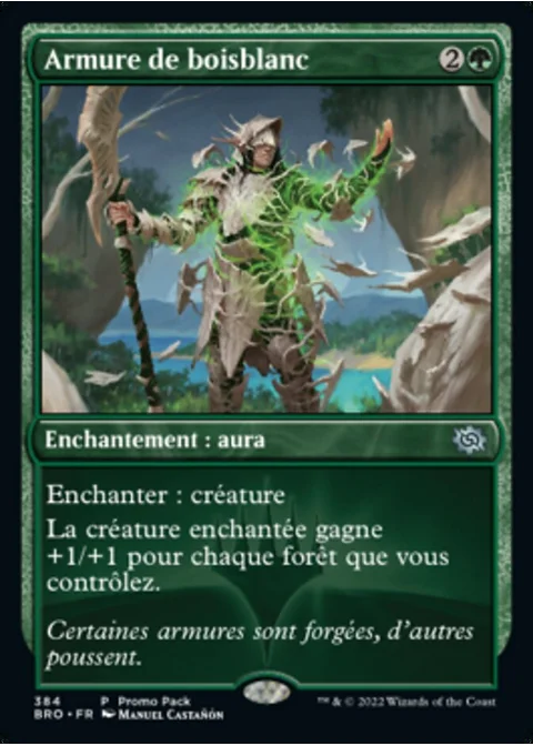 Armure de boisblanc