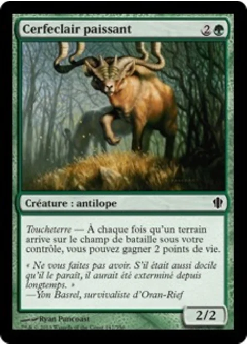 Cerfeclair paissant