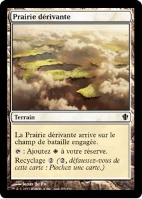 Prairie dérivante