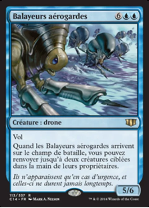 Balayeurs aérogardes