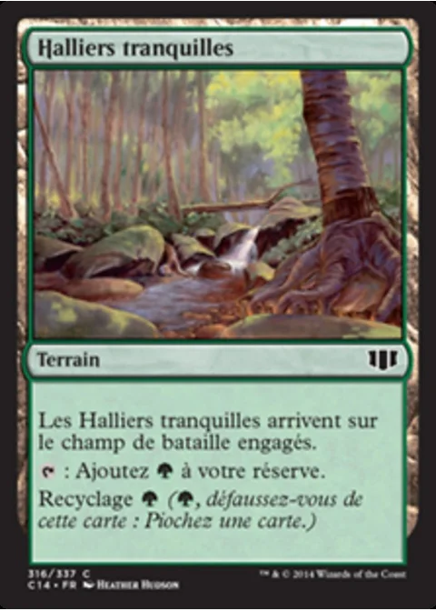 Halliers tranquilles