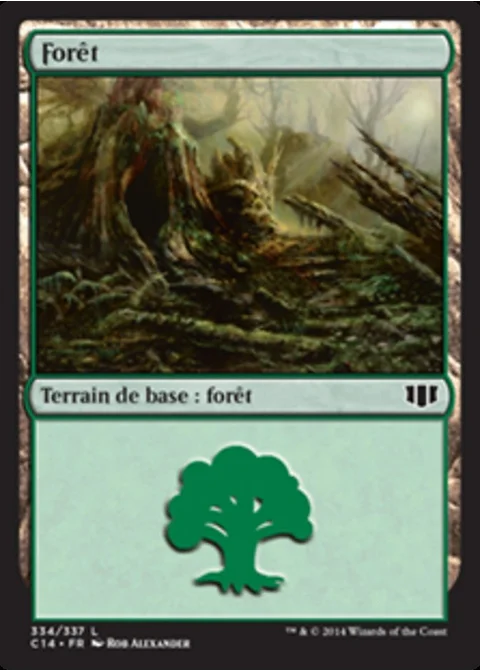 Forêt