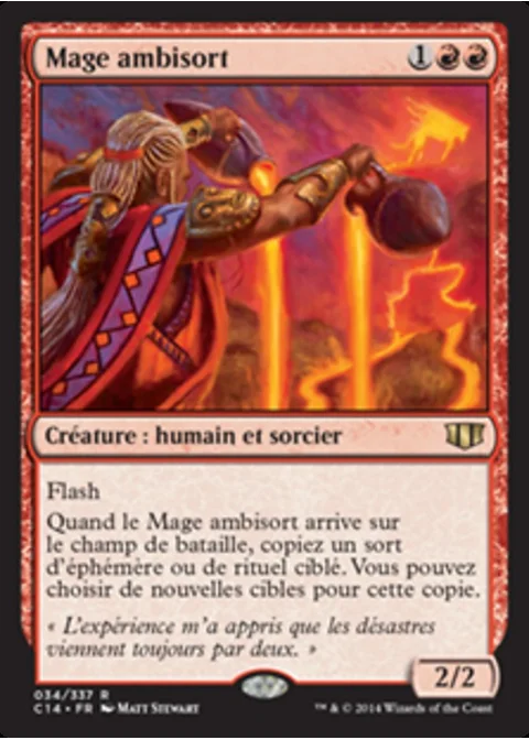 Mage ambisort