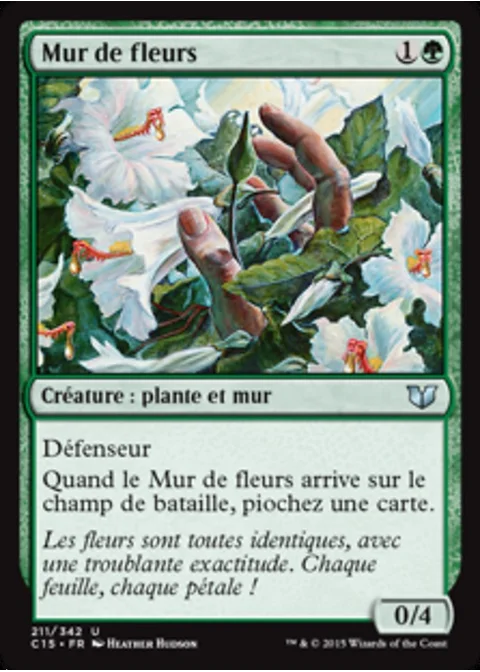 Mur de fleurs